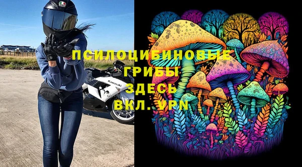 ALPHA-PVP Алексеевка