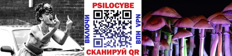 дарк нет телеграм  Волжский  Галлюциногенные грибы Psilocybe 
